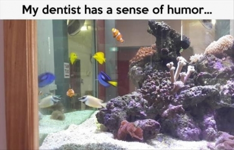 nemo at the dentist - meme