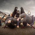 yall remember those pigeons posing for the rap album?