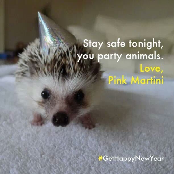 Happy New Year! yes I know it isn't mine but too cute to resist! - meme