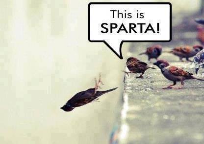 THIS IS SPARTA!!! - Meme by ramih3 :) Memedroid