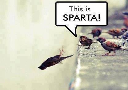 THIS IS SPARTA! - Meme by BattleToad2005 :) Memedroid