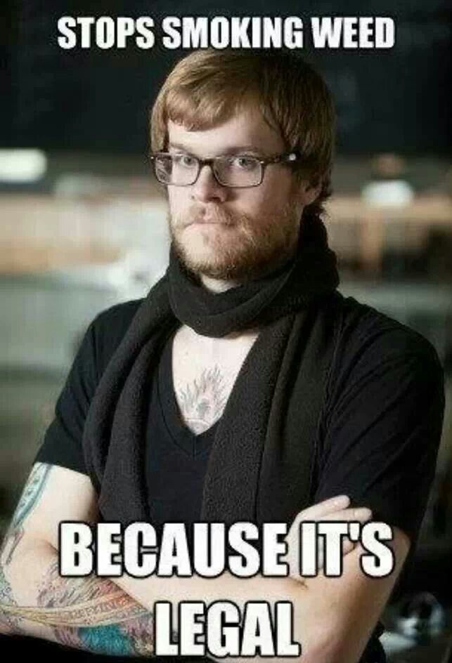the wild hipster approaches - meme