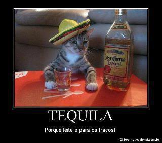 tequila - meme