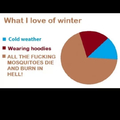 What I love of winter