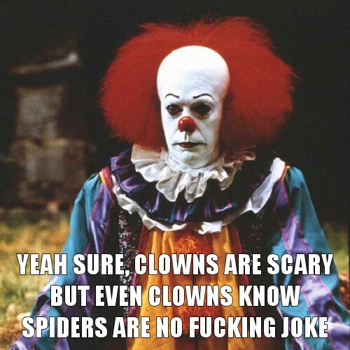 What's scarier: Clowns or Spiders? - meme