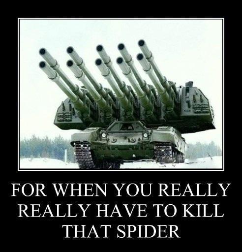 spiders - meme