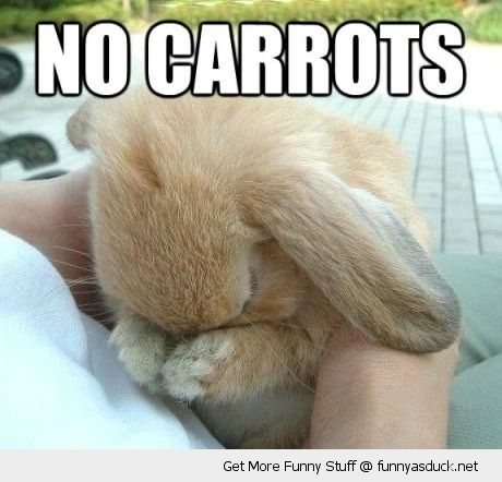 They take her carrots:( - meme