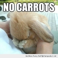 They take her carrots:(