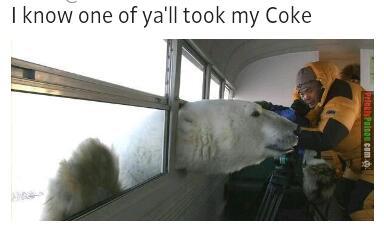 polar bears be like - meme