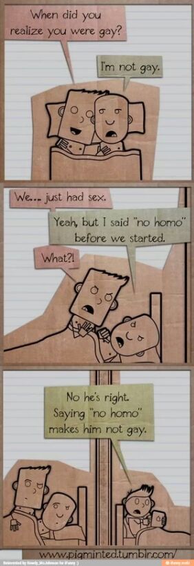 no homo - meme