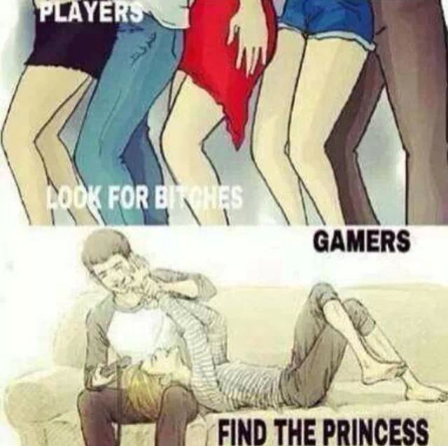 what if a gamer is a player as well? - meme