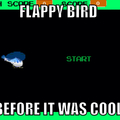 Old school flappy bird 