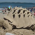 The sand turtle