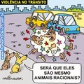 violência no trânsito...