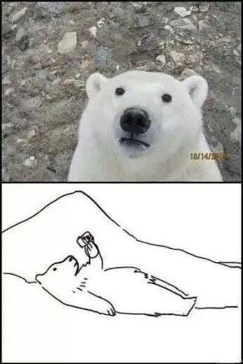 Oso Polar plz - meme