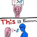TRUE Feminism.