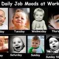 workweek