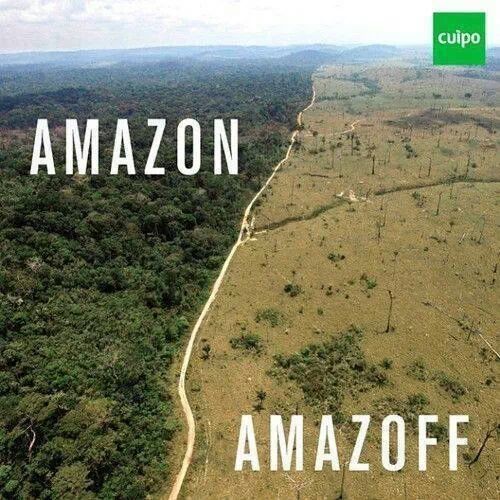 Amazon/Amazoff - meme