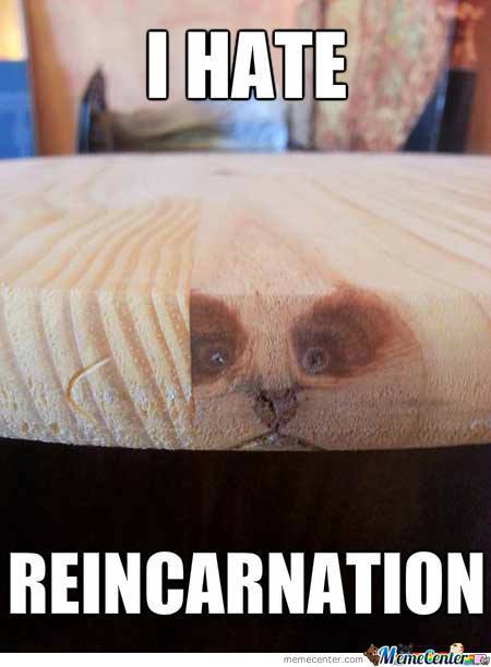 Reincarnation - meme