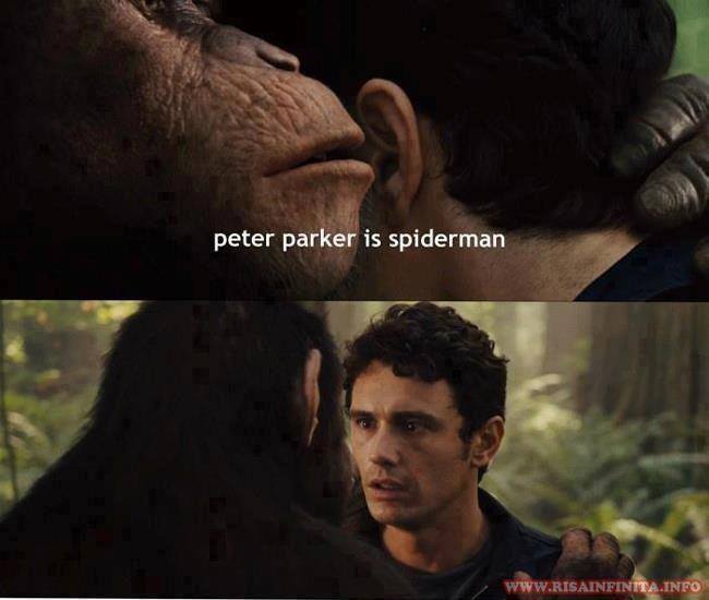 peter parker es spiderman - meme