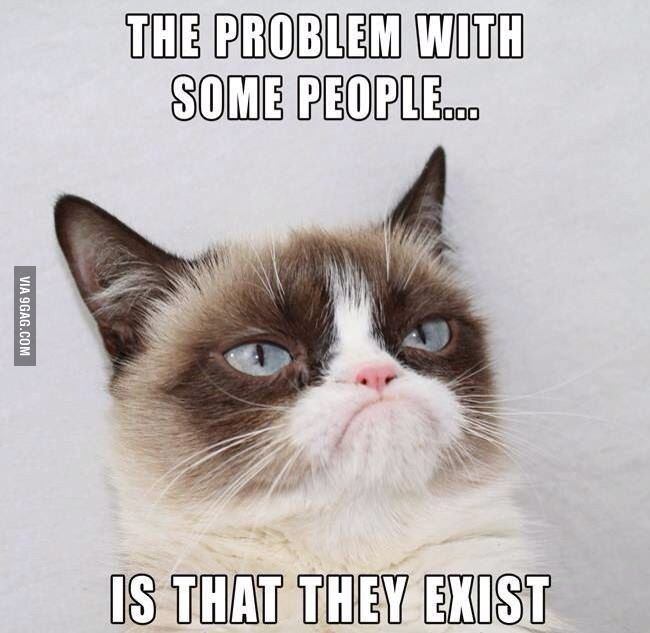 grumpy cat - meme