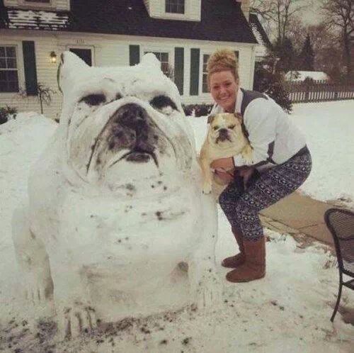 awesome snowdog - meme