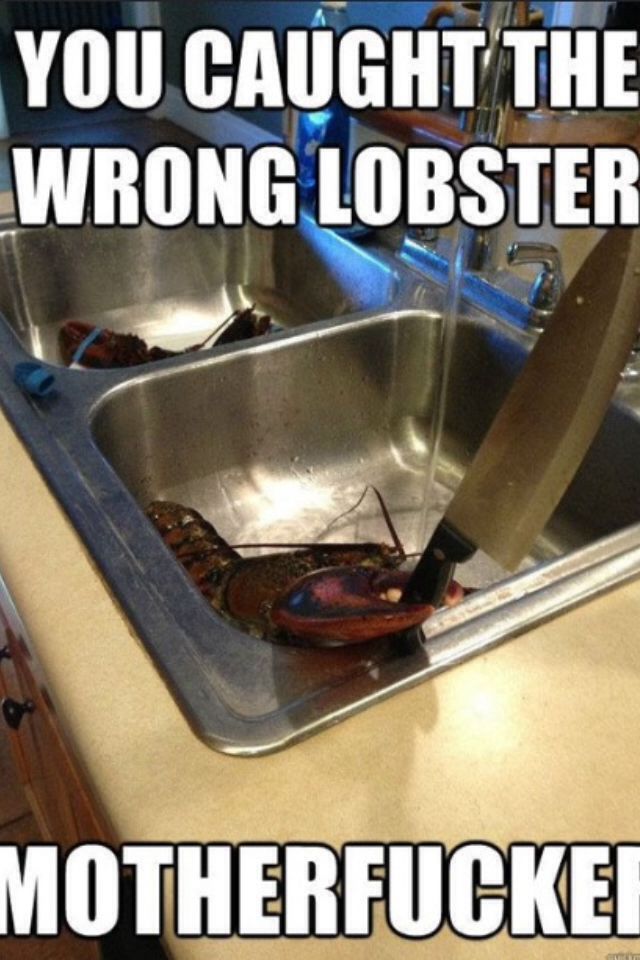 This is why I don't eat lobster - meme