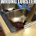 This is why I don't eat lobster
