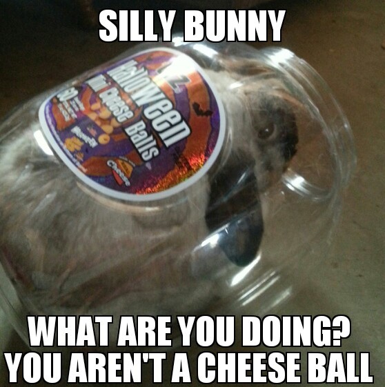 Silly rabbit, cheeseballs are for kids - meme