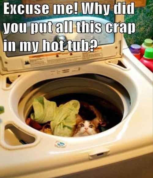 my washing machines cheap so it only runs cold :( - meme