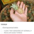 I wanna suck that pineapple.