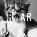 Roar *-*