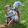 Squirrel is prepared are you?