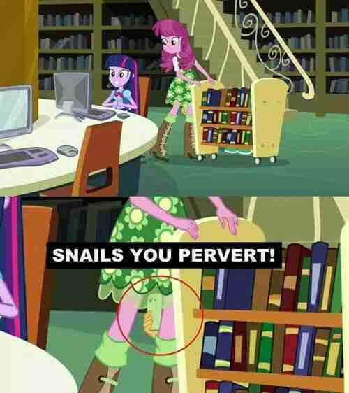 Snail you're a pervert!!! - meme