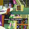 Snail you're a pervert!!!