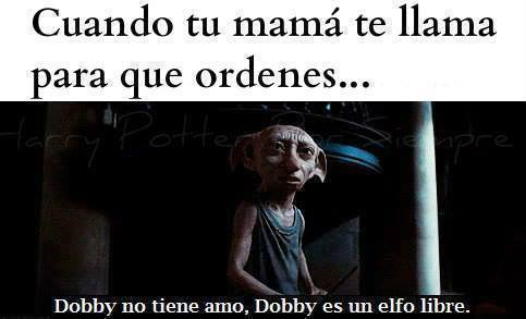 Dobby xD - meme