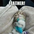 daaawh i love feathers to
