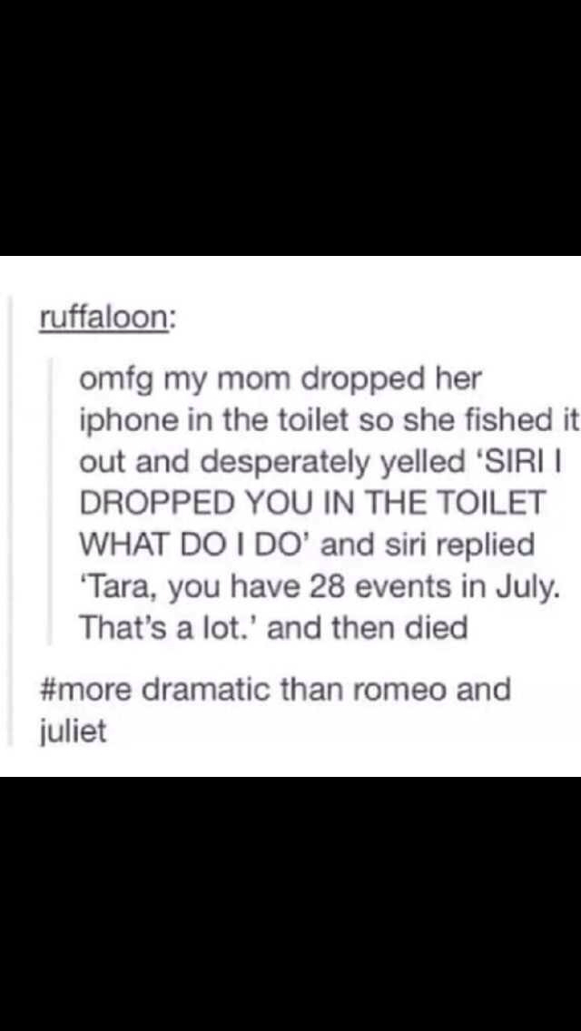Such dramatic much sad very Romeo and Juliet wow - meme