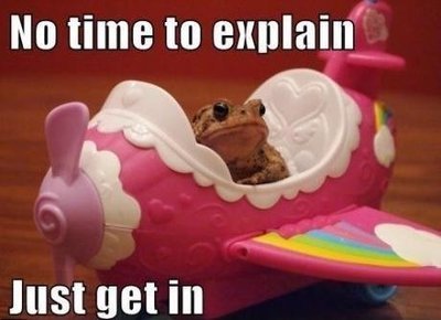 Listen to the toad! - meme