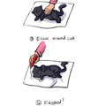 How to draw a cat..