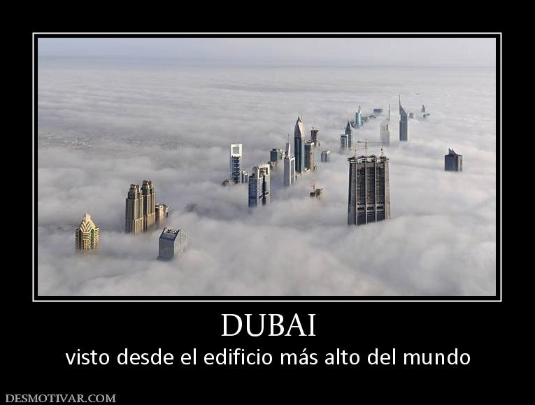 Dubai pls - meme