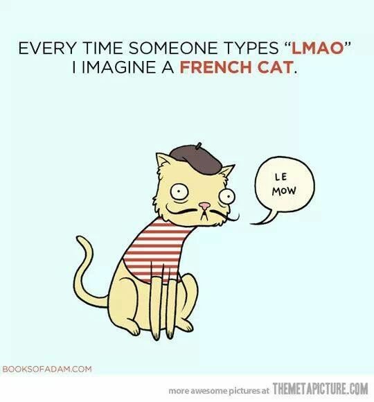 French cat - meme