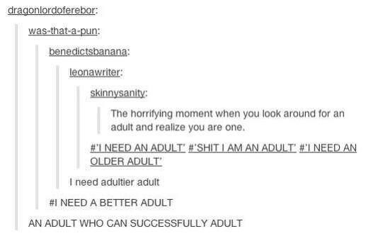 Adult... - meme