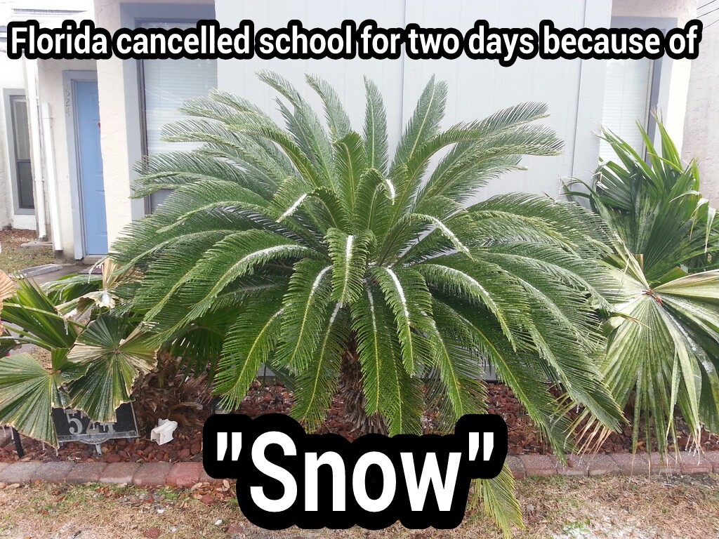 I love being a teacher in Florida :) - meme