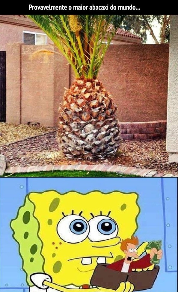 Bob esponja agiota - Meme by kaikai_uchiha :) Memedroid