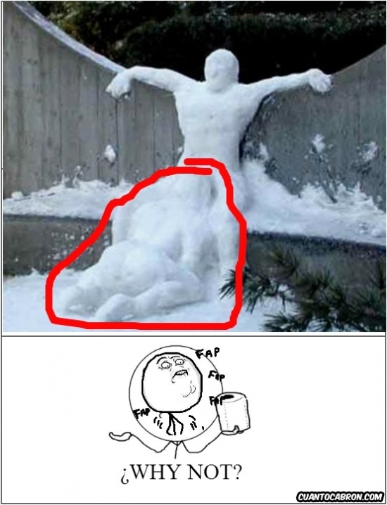 la nieve y sus cosas - meme