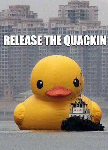 the quackin - meme