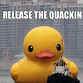 the quackin