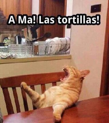 tortillas - meme