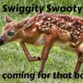 Swiggity